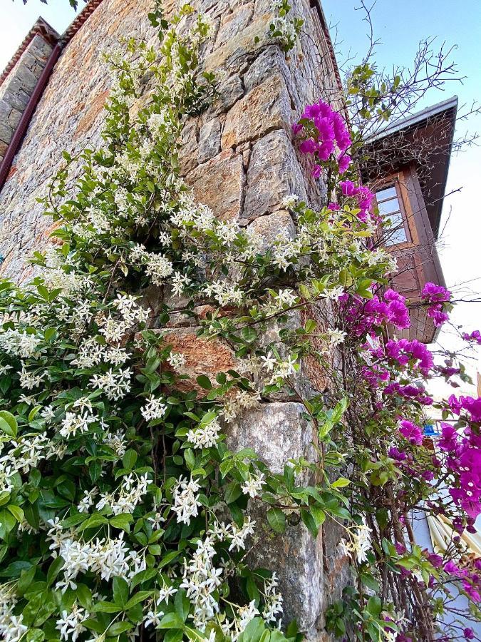 Villa Bakacak Селимие Екстериор снимка